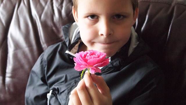 boy with rose profile pic