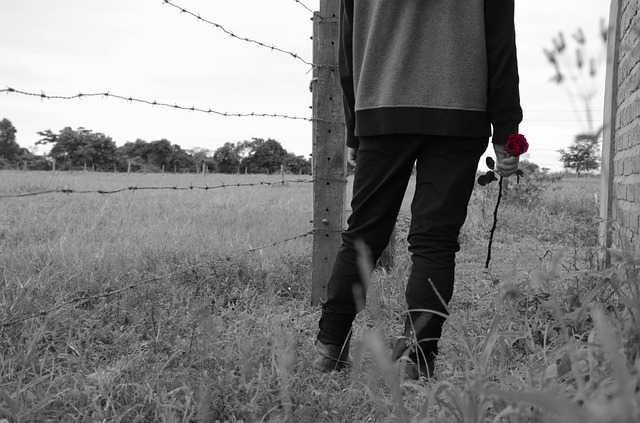 Boy with rose